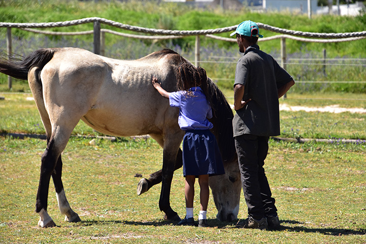 A young girl from the community project gently petting a horse while a caretaker provides supervision in a grassy paddock at EQuivalence in Durbanville.