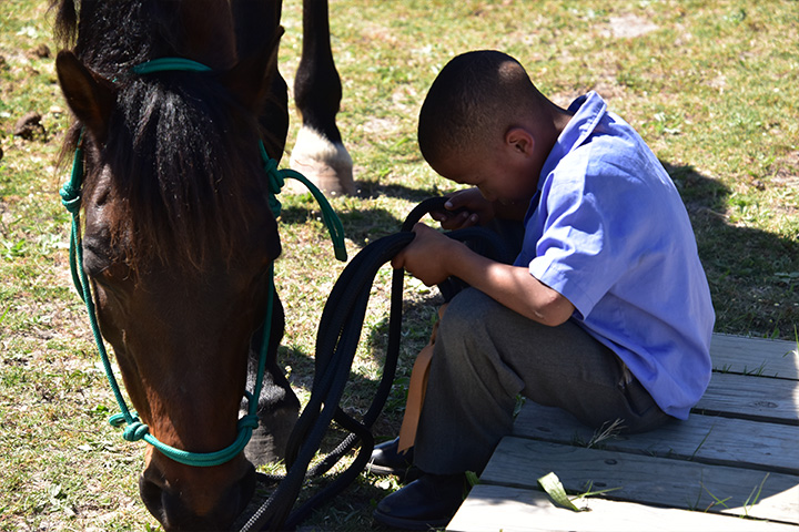 A young boy sitting and safely holding a horse's lead rope during a community horse riding program at EQuivalence in Durbanville.
