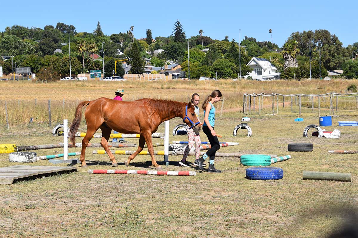 Professional Equine Assisted Therapy horse and student interaction