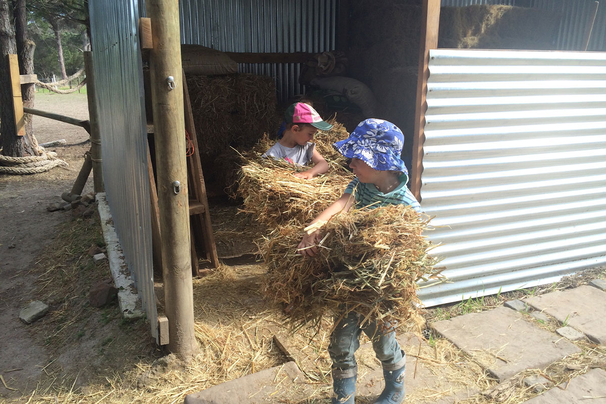 Equine Assisted Therapy healing environment at EQuivalence