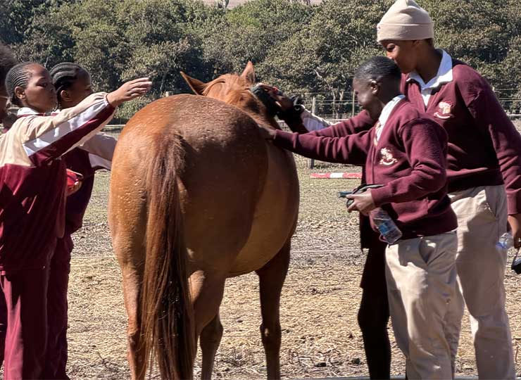 School children and facilitators interacting gently with a horse in an open paddock at EQuivalence Durbanville.