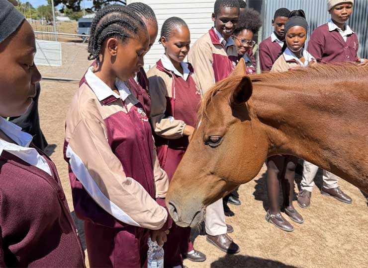 Children practicing calm grounding techniques next to a therapy horse at Healing Hooves Durbanville.