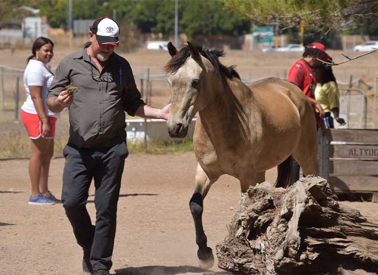 Adult caregivers and students observing horse behavior during a Healing Hooves workshop in Cape Town.