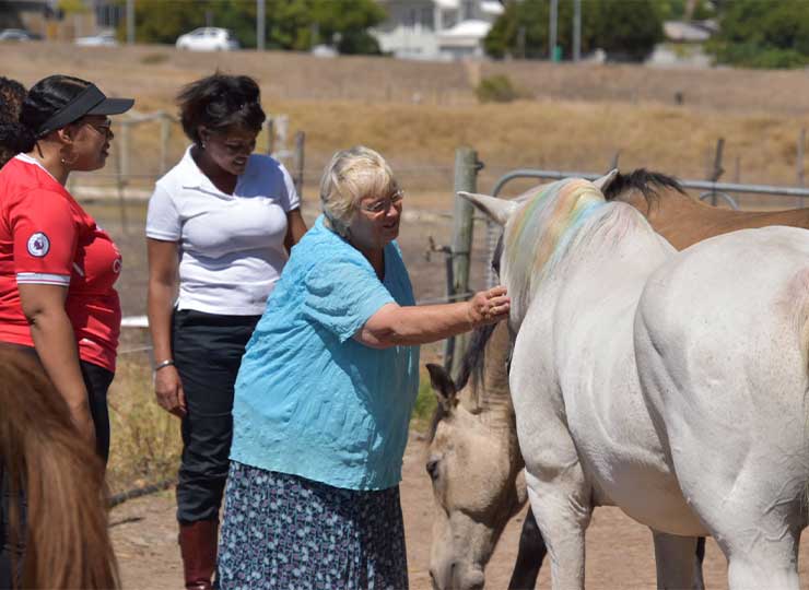 Group of adults smiling while grooming a gentle horse at EQuivalence Durbanville.