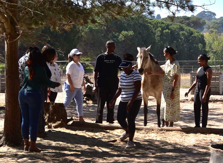 Facilitator guiding adults through an equine-assisted team building activity at EQuivalence.