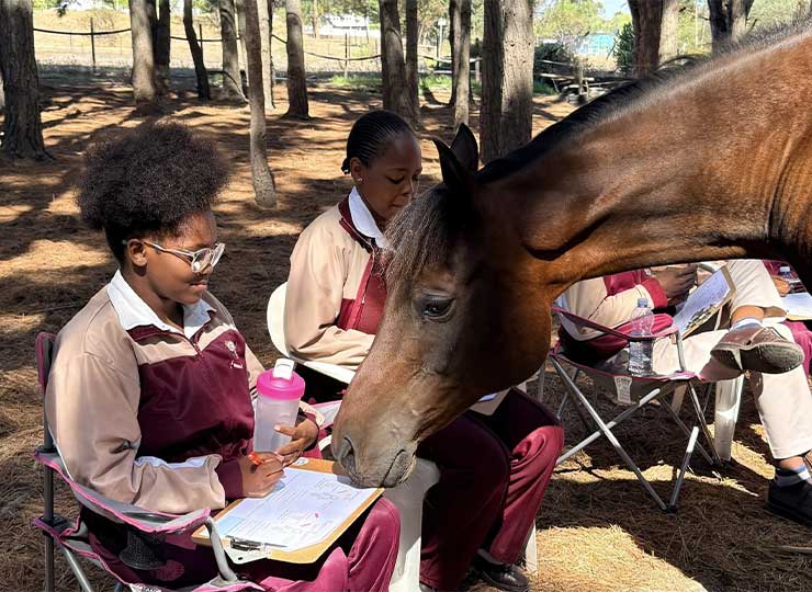 Child reaching out to touch a horse's nose during a outdoor session at EQuivalence Durbanville.