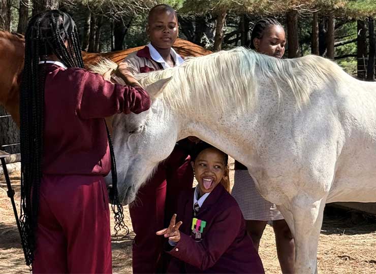 Full group photo of students, teachers, and facilitators with horses at EQuivalence Healing Hooves Durbanville.