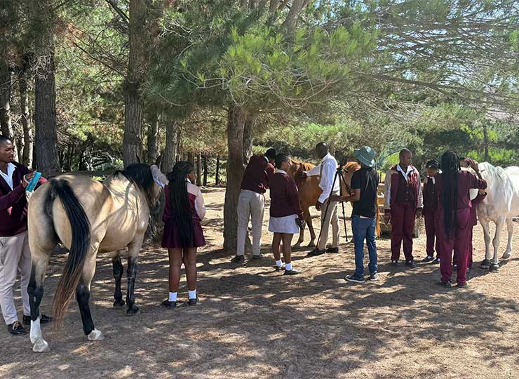 Group of adults and school children walking alongside horses in an arena at EQuivalence Cape Town.
